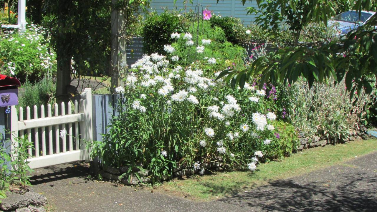 Apartamento Cozy Haven - Waihi Exterior foto